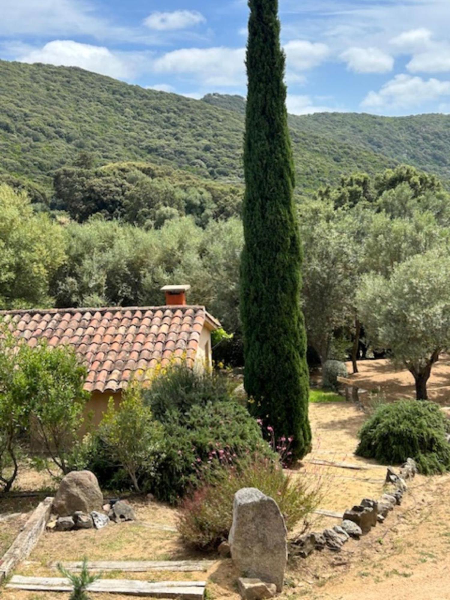 Auberge U Sirenu Sartène Esterno foto